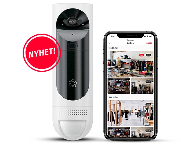 Videodetektor Företag